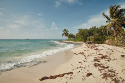 Quem quer viver dois meses nas Bahamas?
