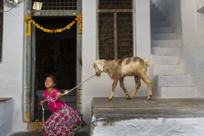 "Terra de Sonhos", um olhar sobre o mundo feminino em Anantapur, na Índia