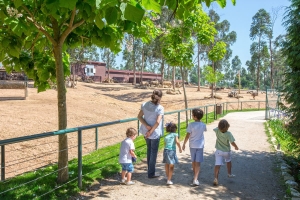 Zoo Santo Inácio convida todas as crianças a descobrirem os mais jovens animais do parque