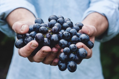 Os surpreendentes benefícios das uvas para a sua saúde